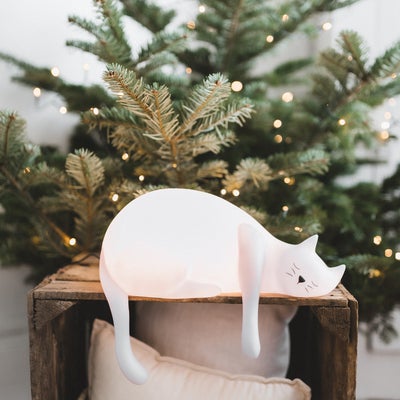 Rose In April Georges Katzen-Lampe, wei&szlig;