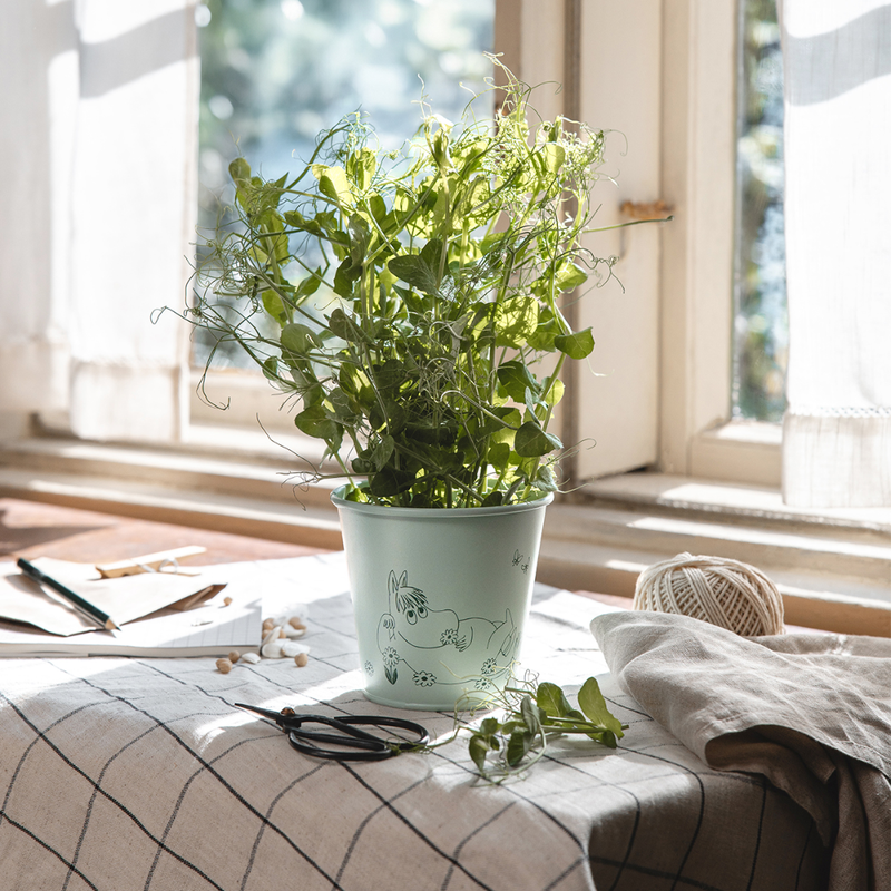 Muurla Mumin Blumentopf, Gardenia